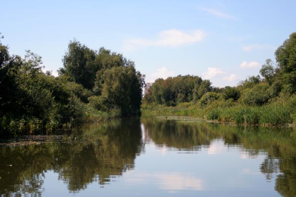 Killikus&reg; Fotographie